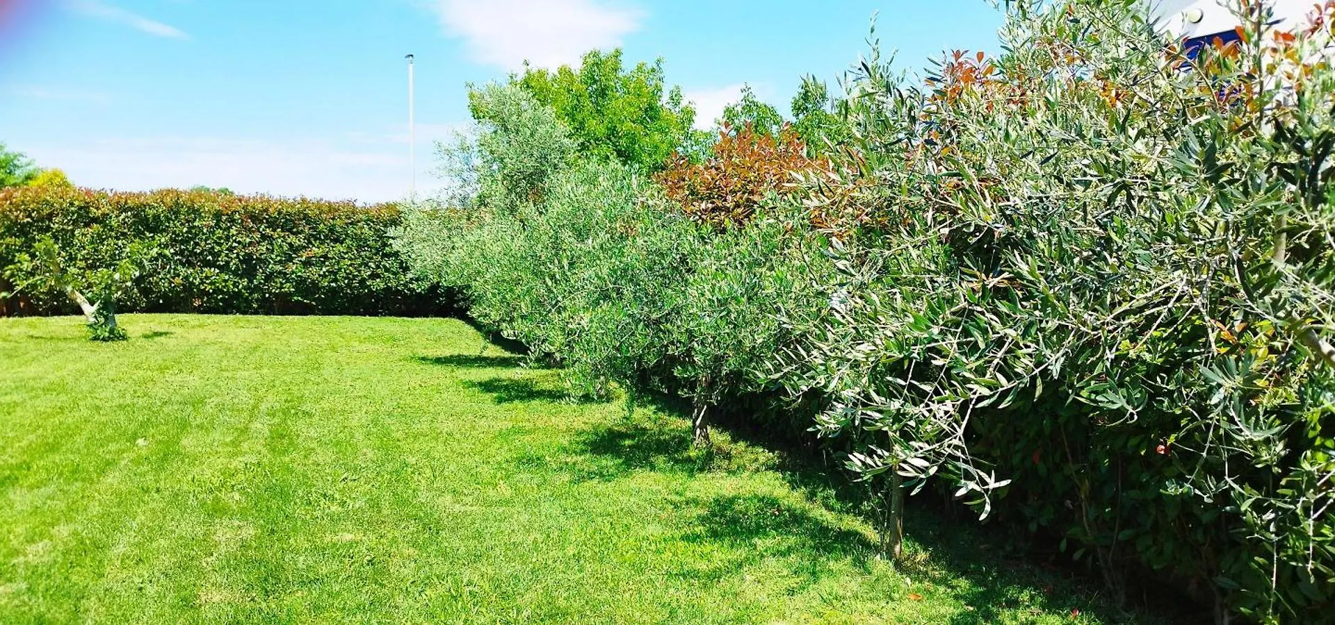 Apartmán Apartmani Branka Banjole